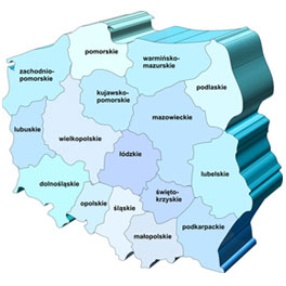 krajowy